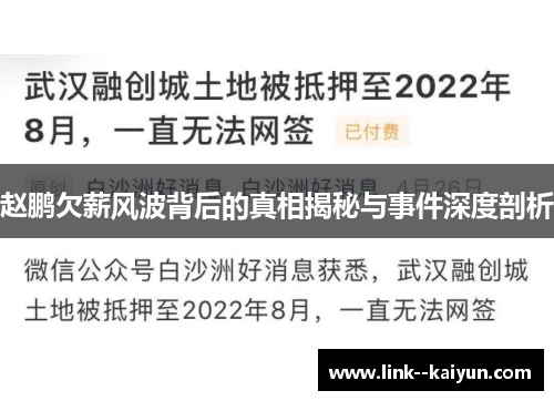 赵鹏欠薪风波背后的真相揭秘与事件深度剖析 赵鹏欠薪风波背后的真相揭秘与事件深度剖析