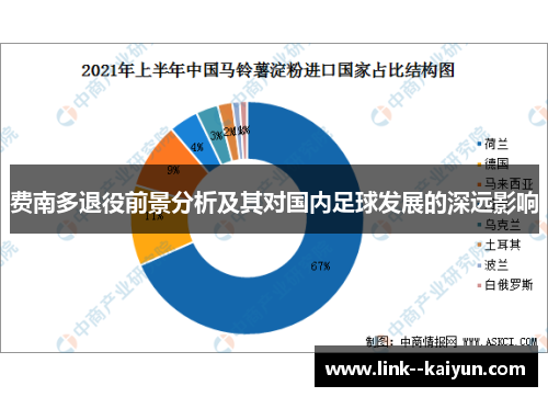 费南多退役前景分析及其对国内足球发展的深远影响