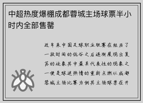 中超热度爆棚成都蓉城主场球票半小时内全部售罄 中超热度爆棚成都蓉城主场球票半小时内全部售罄